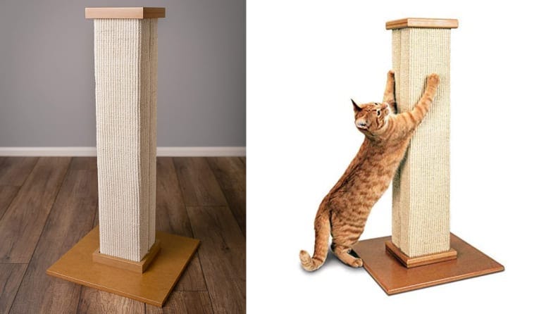 grannick's bitter apple cats